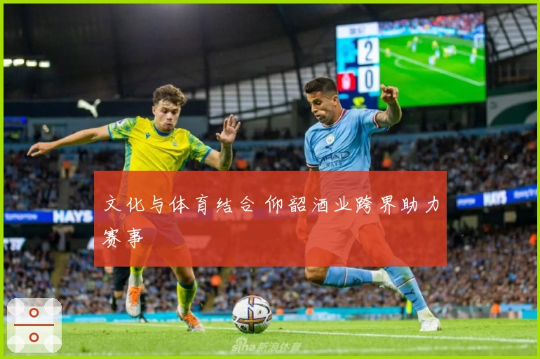 文化与体育结合 仰韶酒业跨界助力赛事