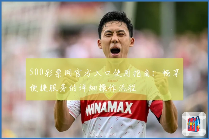 500彩票网官方入口使用指南：畅享便捷服务的详细操作流程