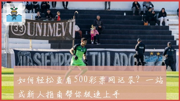 如何轻松查看500彩票网记录？一站式新人指南帮你极速上手