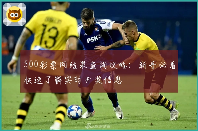 500彩票网结果查询攻略:新手必看快速了解实时开奖信息