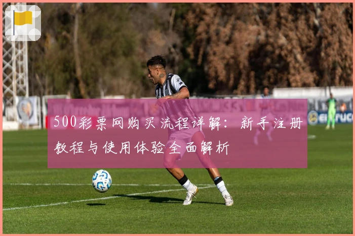 500彩票网购买流程详解：新手注册教程与使用体验全面解析